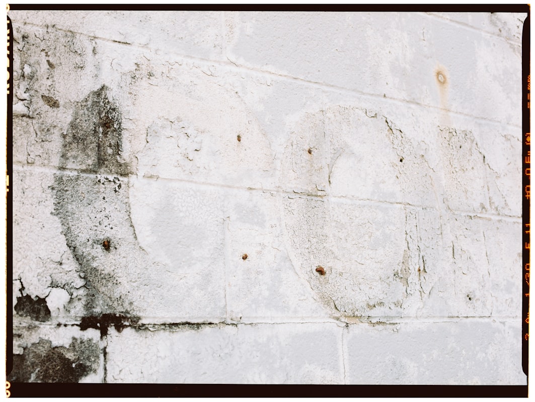 Flood Cleanup service in Arcadia, CA